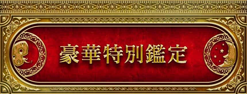 豪華特別鑑定